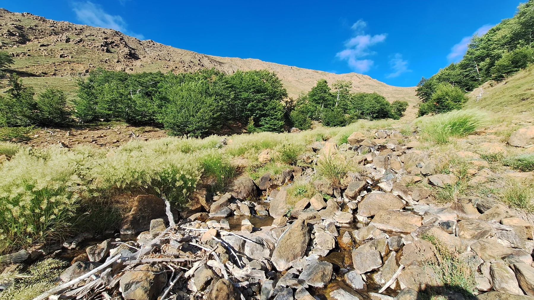 Rocky stream and mountain trail in Shebenik
